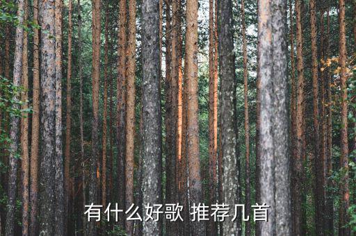 什么是終生董事，一個人懂事要多久