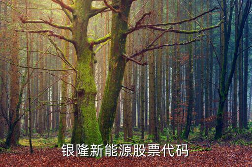銀龍股份什么時(shí)候上市，銀隆新能源股票代碼