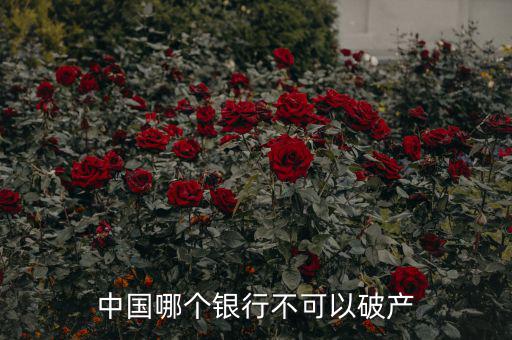 中國哪個銀行不可以破產