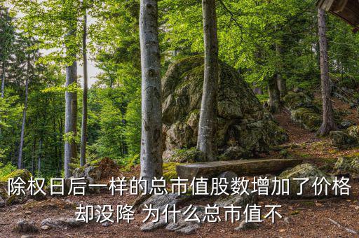 除權(quán)日后一樣的總市值股數(shù)增加了價(jià)格卻沒(méi)降 為什么總市值不