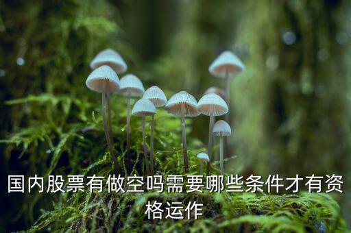 什么股票才可以做空，同花順里面有沒有可以做空的股票