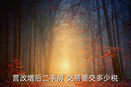二手房營(yíng)改增后買(mǎi)賣(mài)要上什么稅，營(yíng)改增后二手房 交易要交多少稅