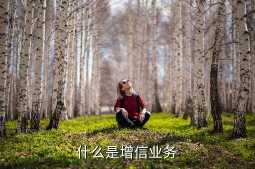 什么是增信服務(wù)，什么是增信業(yè)務(wù)