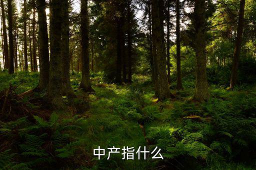 中產(chǎn)消費(fèi)什么，網(wǎng)易電商平臺(tái)帶給中產(chǎn)消費(fèi)者的核心價(jià)值是什么