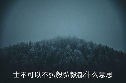 市布可以不弘毅什么意思，曾子曰士不可以不弘毅 什么意思