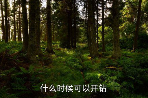 什么時(shí)候可以開鉆