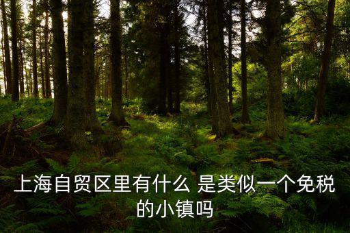 上海自貿(mào)區(qū)里有什么 是類(lèi)似一個(gè)免稅的小鎮(zhèn)嗎