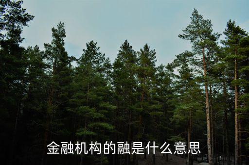 金融機(jī)構(gòu)的融是什么意思，融資中的融是什么意思