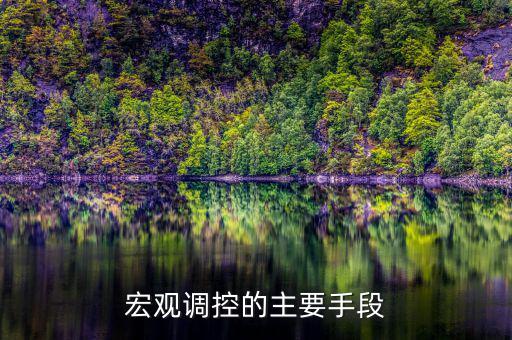 宏觀調控有什么手段，宏觀調控的主要手段
