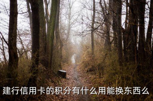 建行信用卡積分能兌換什么，請問下建行信用卡1萬多積分可以換什么