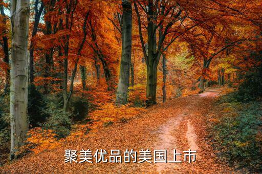 聚美優(yōu)品為什么要上市，根據(jù)聚美優(yōu)品案例談?wù)勈裁词莍po