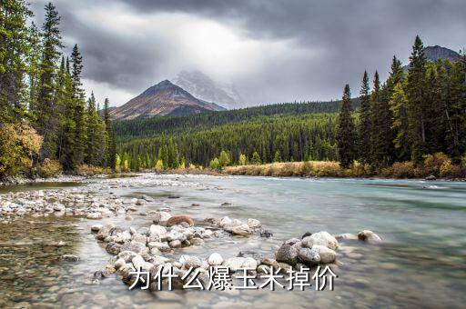 玉米價格為什么下跌，現(xiàn)在的玉米價格是多少為什么糧食價格下跌