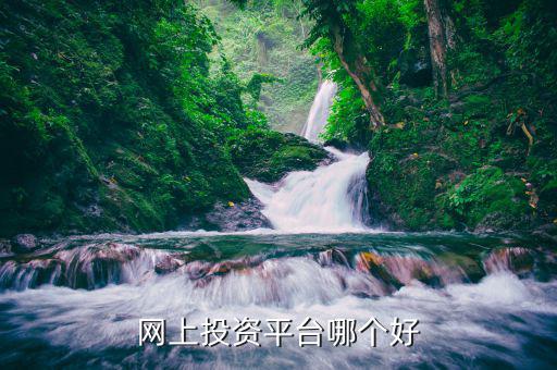 什么網(wǎng)絡(luò)投資好，網(wǎng)上投資平臺哪個好