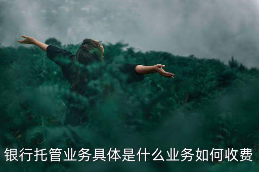 什么是票據(jù)托管，銀行托管業(yè)務(wù)具體是什么業(yè)務(wù)如何收費(fèi)
