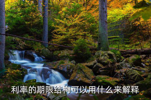 利率的期限結(jié)構(gòu)可以用什么來(lái)解釋，簡(jiǎn)述利率的期限結(jié)構(gòu)