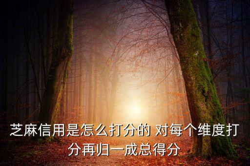 芝麻信用評(píng)分依據(jù)是什么，芝麻信用以什么依據(jù)評(píng)分