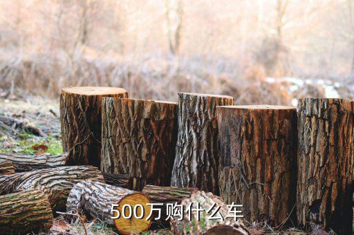 500萬身家開什么車，500萬人民幣可買什么車