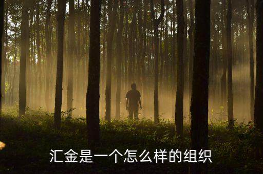 中央?yún)R金干什么的，匯金是一個(gè)怎么樣的組織