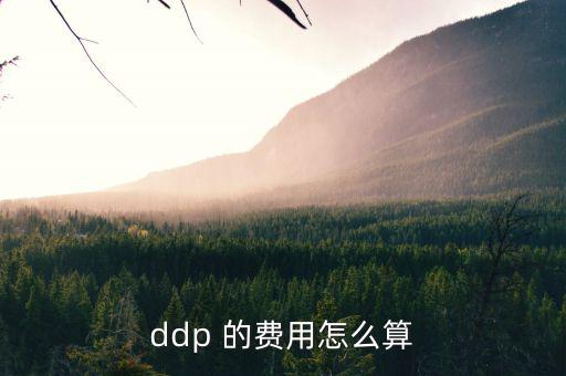 hmf是什么費用，請問DEMDDF是什么費用