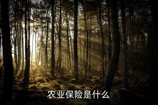 傳統(tǒng)農業(yè)保險主要保什么風險，農業(yè)保險是什么