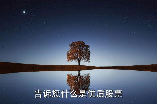 告訴您什么是優(yōu)質股票
