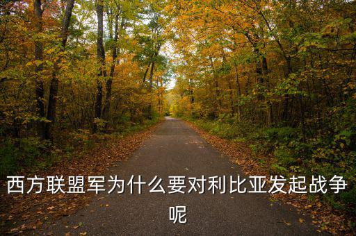 歐債危機(jī)下的法國(guó)為什么要發(fā)動(dòng)利比亞戰(zhàn)爭(zhēng)，西方聯(lián)盟軍為什么要對(duì)利比亞發(fā)起戰(zhàn)爭(zhēng)呢