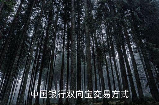 中國銀行雙向?qū)毷鞘裁?，中國銀行雙向?qū)殬I(yè)務(wù)詳細(xì)介紹
