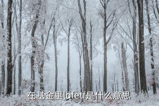 什么是etf，ETF 基金到底是什么東西
