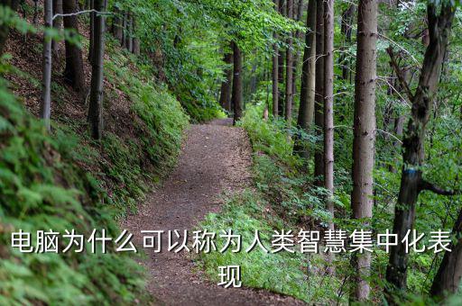 電腦為什么能夠做人工智能，電腦為什么可以稱(chēng)為人類(lèi)智慧集中化表現(xiàn)