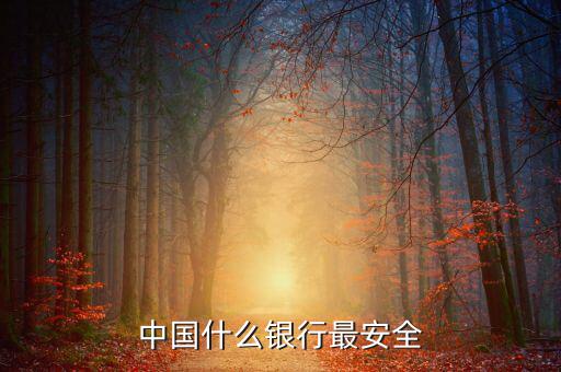 什么銀行安全，世界上什么銀行最安全