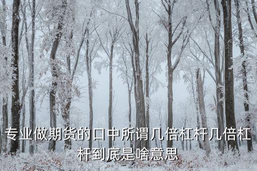 專(zhuān)業(yè)做期貨的口中所謂幾倍杠桿幾倍杠桿到底是啥意思