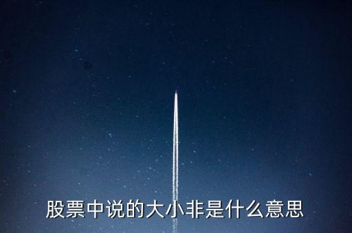 股市大小非是什么意思，股市中的大小非是指什么