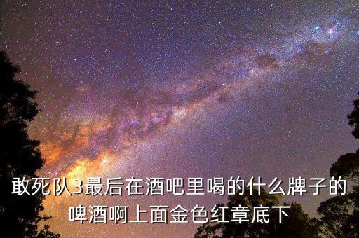 敢死隊(duì)3喝的什么啤酒，敢死隊(duì)3酒吧里吃的這是什么