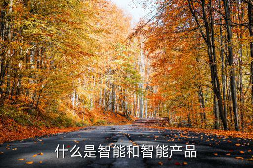 什么是智能產(chǎn)品，智能產(chǎn)品數(shù)碼產(chǎn)品電子產(chǎn)品它們有什么區(qū)別