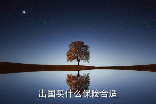 什么保險長期在國外有用，什么保險有去國外玩的保障啊