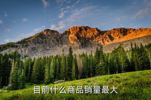 什么消費品最大市場，目前什么商品銷量最大