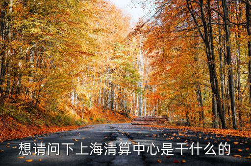 上海清算所做什么，想請問下上海清算中心是干什么的