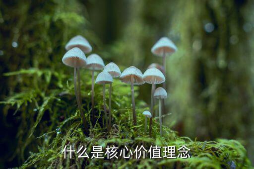 什么是核心價(jià)值理念，什么是核心價(jià)值理念