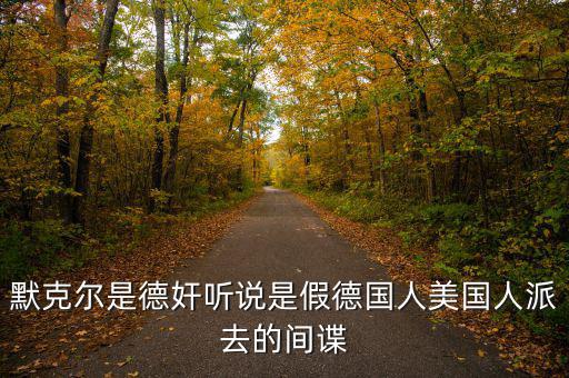 默克爾賭什么，默克爾是德奸聽說是假德國人美國人派去的間諜