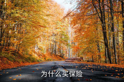 為什么買保險(xiǎn)