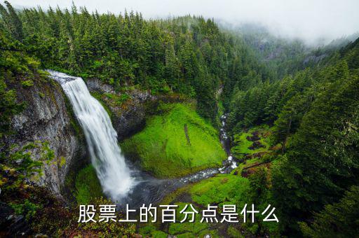 股份中的百分點是什么，在股票中百分點是指的什么