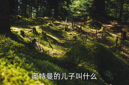 奧特佳老總兒子叫什么，奧特曼的兒子叫什么