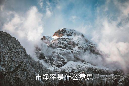 市凈率是什么意思舉例說(shuō)明，什么是市凈率
