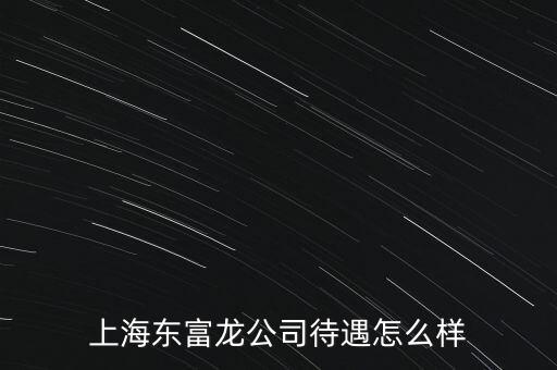 東富龍是做什么的，東富龍股票屬于什么概念