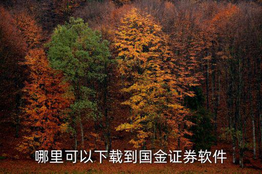 國(guó)金證券用的什么軟件，國(guó)金證券手機(jī)怎樣下載