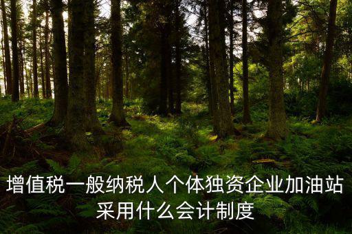 增值稅一般納稅人個體獨(dú)資企業(yè)加油站采用什么會計制度