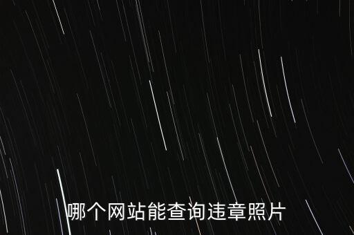 哪個網站能查詢違章照片