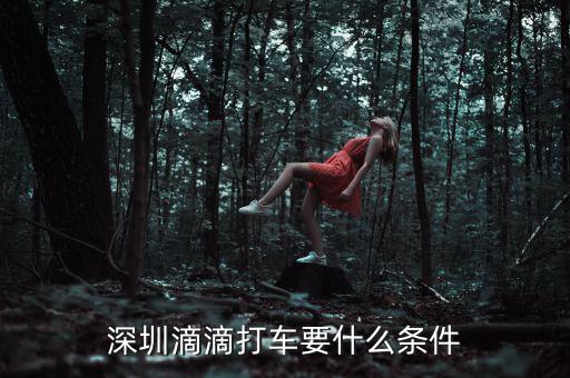 深圳交通滴滴有什么政策，申請深圳滴滴對司機有些什么要求嗎