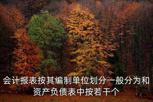 會(huì)計(jì)報(bào)表按其編制單位劃分一般分為和資產(chǎn)負(fù)債表中按若干個(gè)