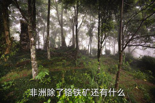 非洲有什么礦產(chǎn)資源，非洲哪些礦產(chǎn)豐富